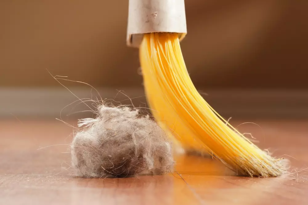 allergy cleaning