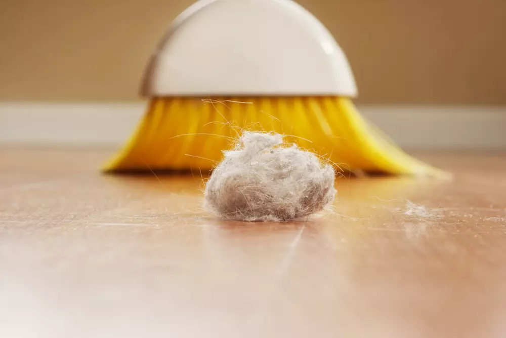 Allery Cleaning