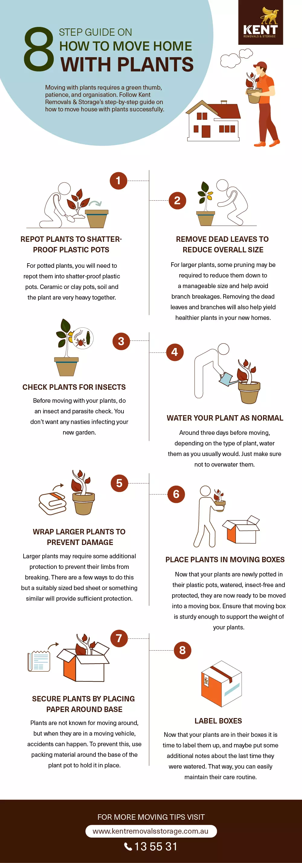 8 Best Tips On How To Move With Plants - Tips For Moving With Plants 2 8 Step Guide On How To Move Home With Plants