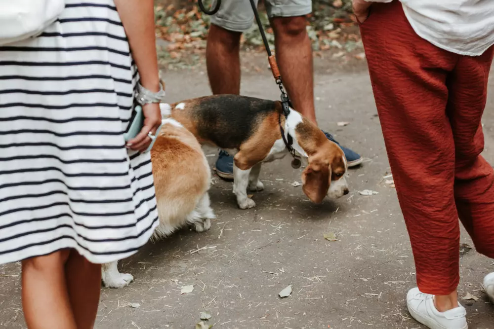 New to the Neighbourhood Etiquette - How to Meet Your Neighbours 3 How to meet your neighboursjpg