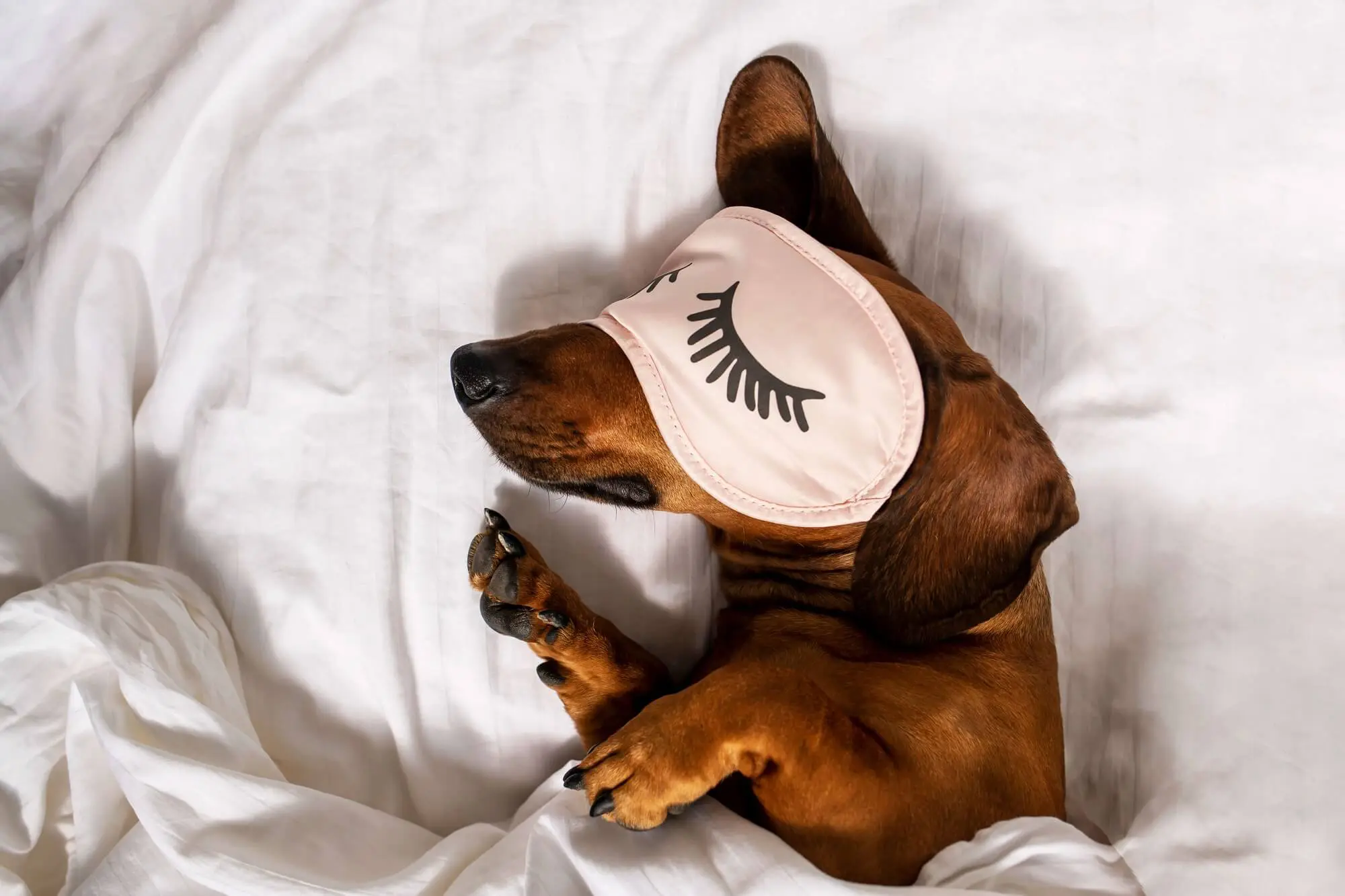 8 Best Tips On How To Pack Pillows For Moving 1 Moving to Townsville