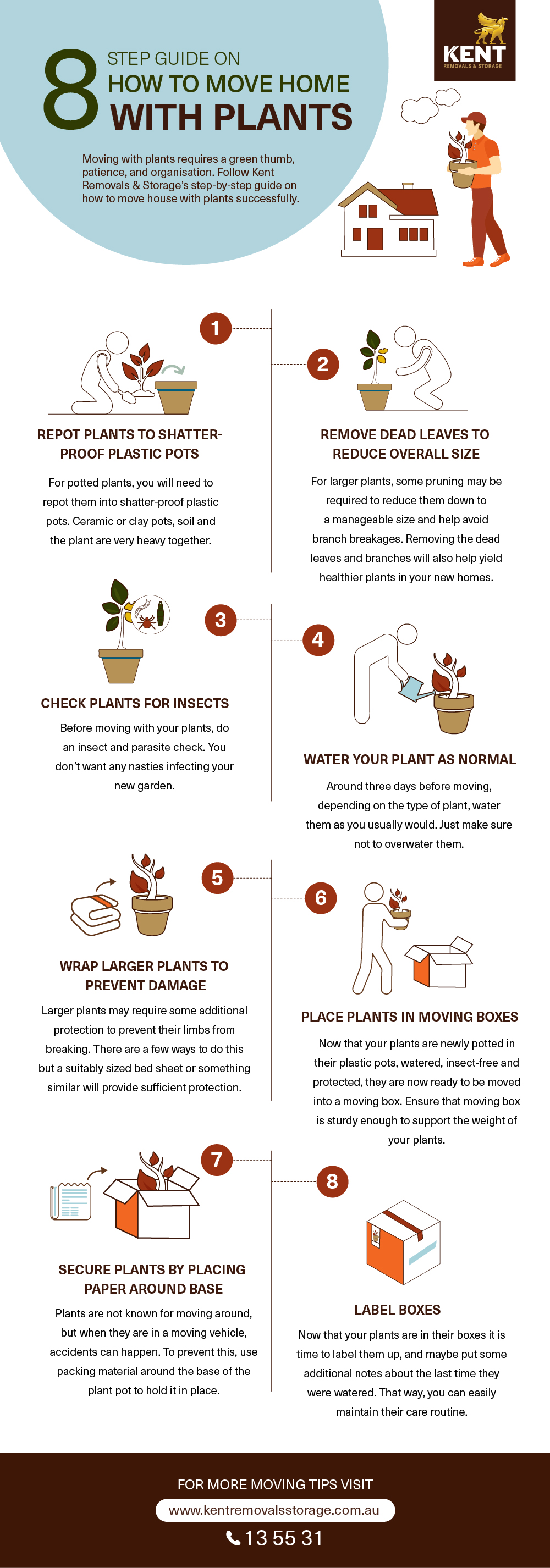 8 Step Guide On How To Move Home With Plants