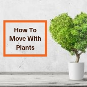 How To Move With Plants – Tips For Moving With Plants