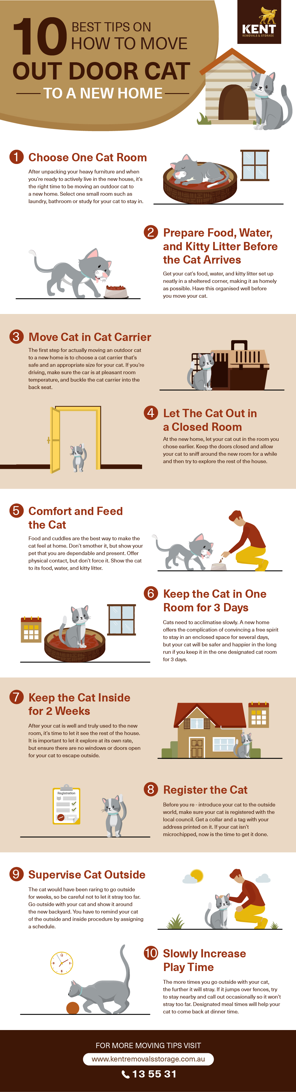 how to get a cat used to a new home