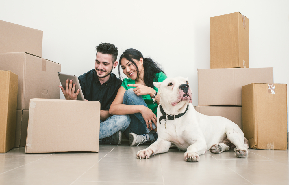 Moving to a New House With a Dog