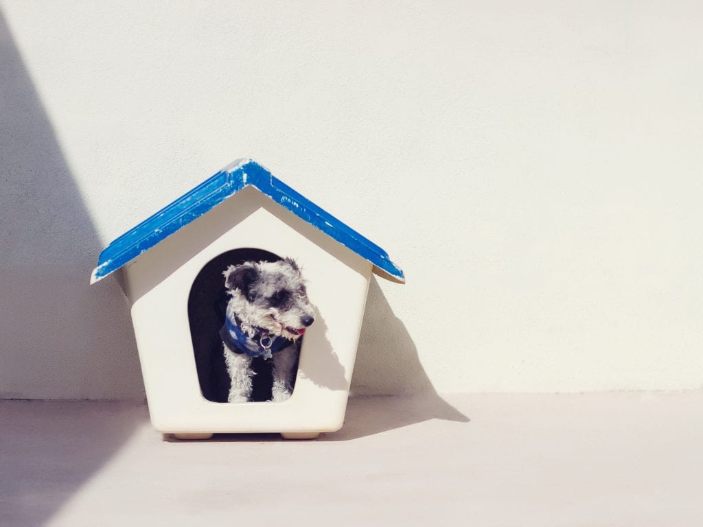 mysaell armendariz 559174 unsplash