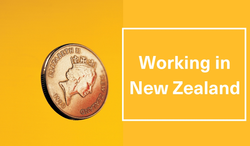 Working in New Zealand